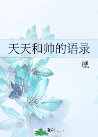 天天和帥的語錄